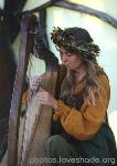 Harpist at the Renaissance Faire